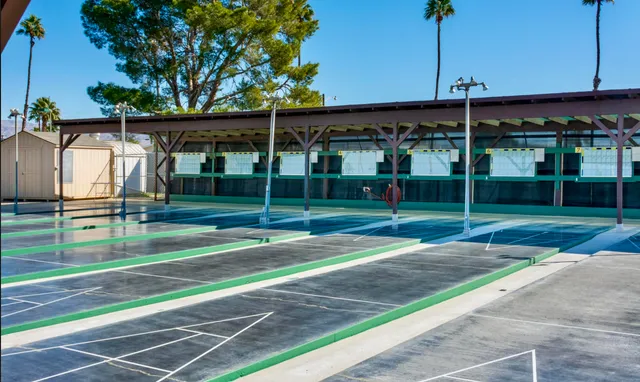 a view of a park with lots of palm trees