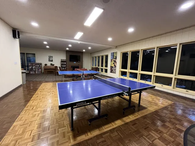 a room with furniture pool table and a rug