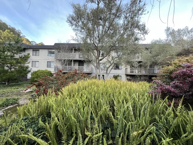 a front view of a house with a yard and tree s