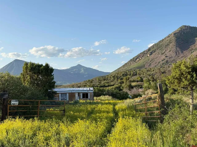 a view of a mountain in the distance in a field