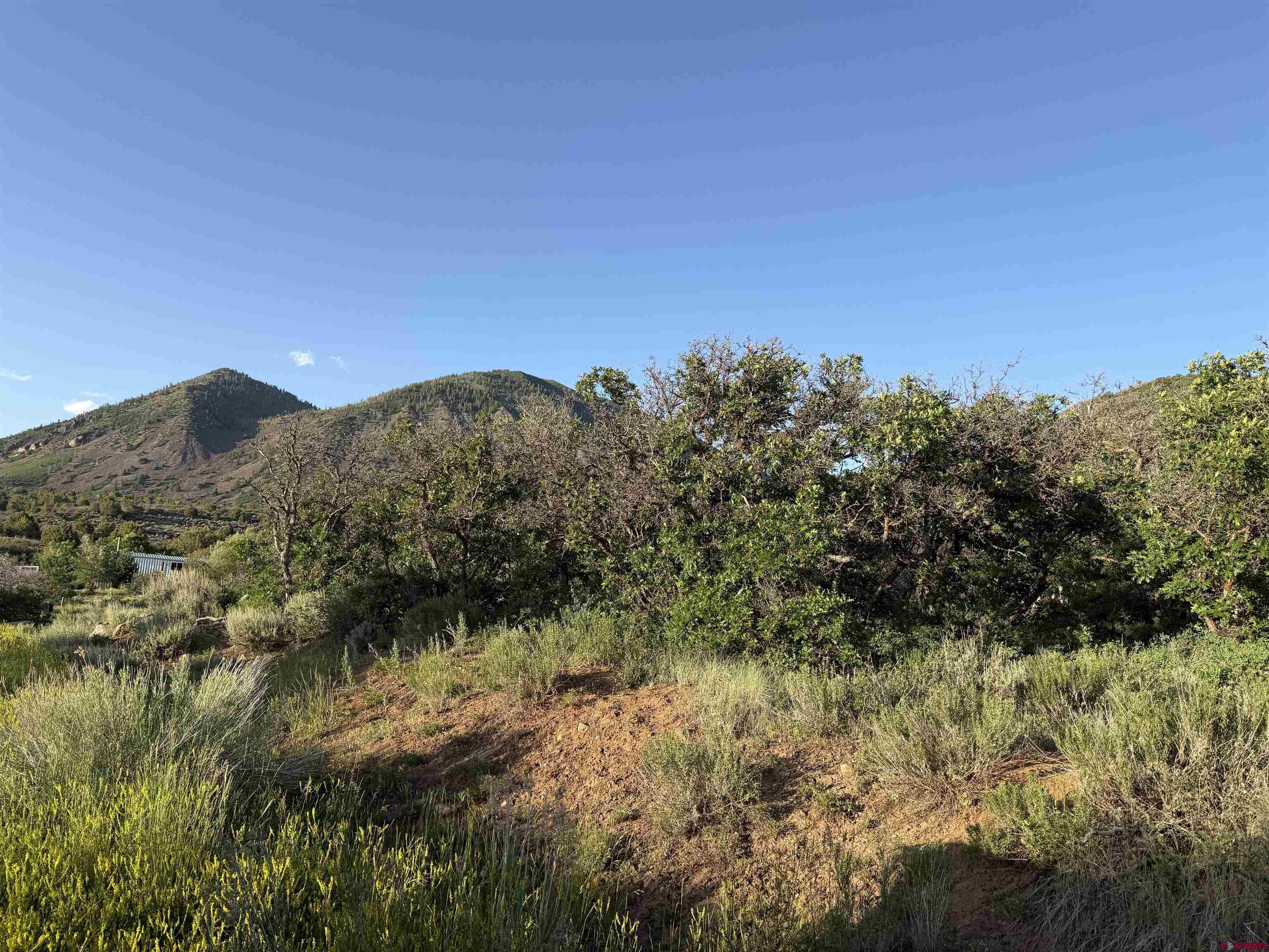 43867 Long Gulch Road Crawford, CO 81415 - Photo 12 of 45 a view of a forest with a mountain in the background