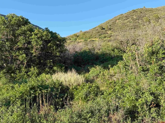 a view of a dry yard with mountains in the background