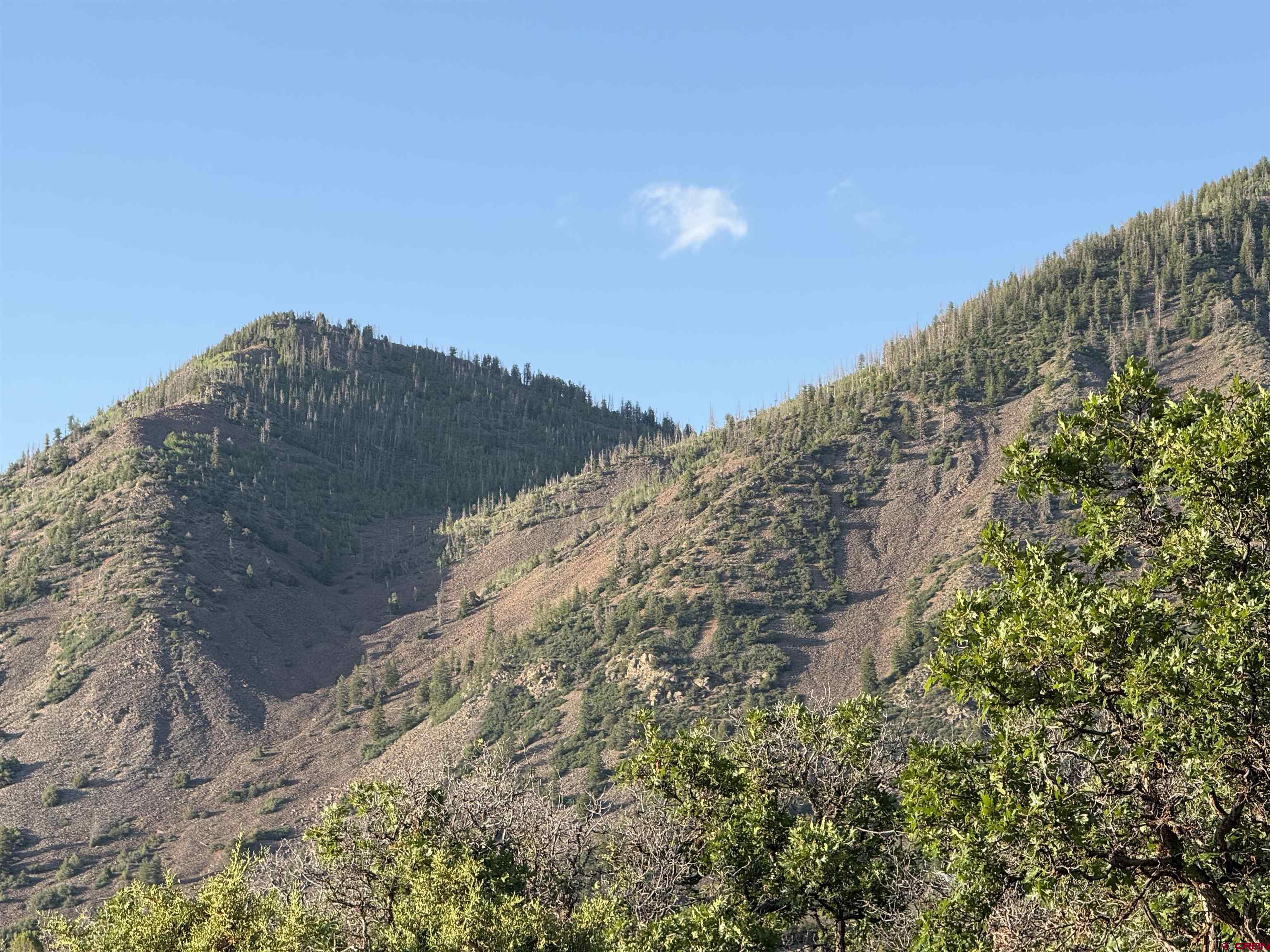 43867 Long Gulch Road Crawford, CO 81415 - Photo 14 of 45 a view of a dry yard with mountains in the background