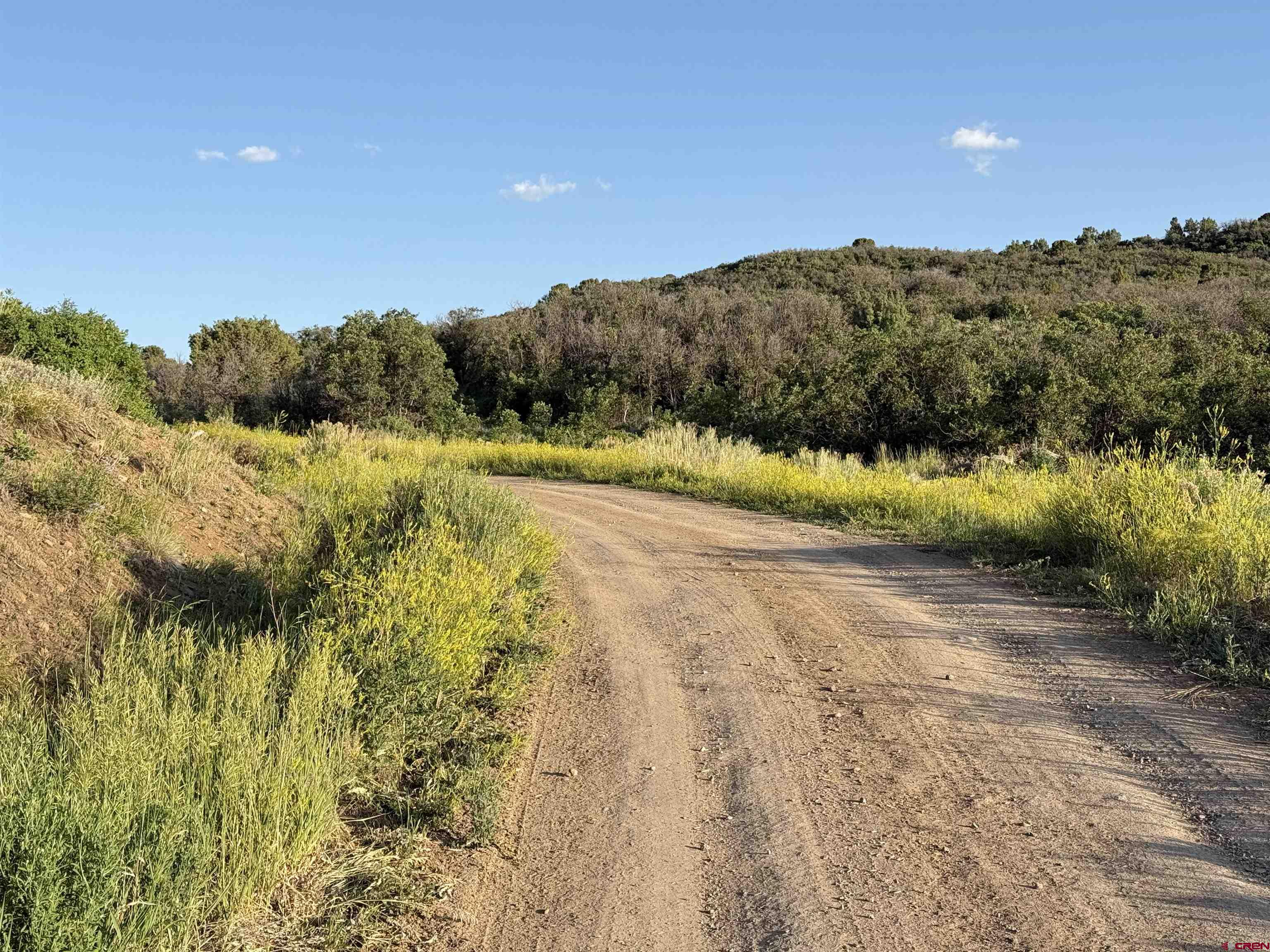 43867 Long Gulch Road Crawford, CO 81415 - Photo 16 of 45 a view of a lake