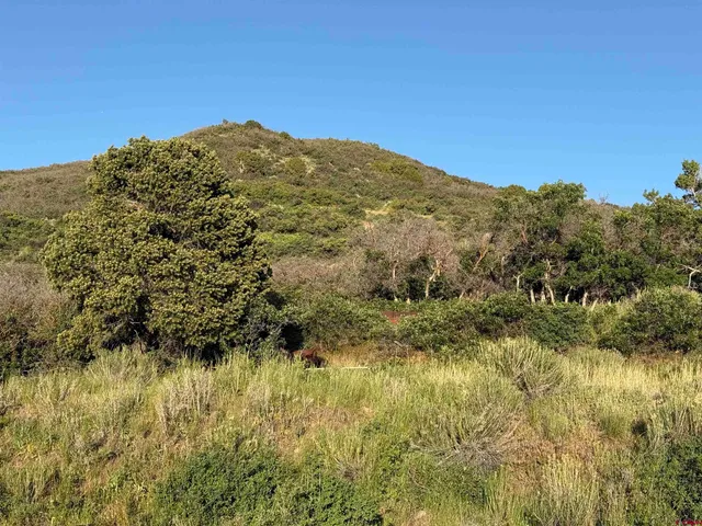 a bedroom with furniture and a large window
