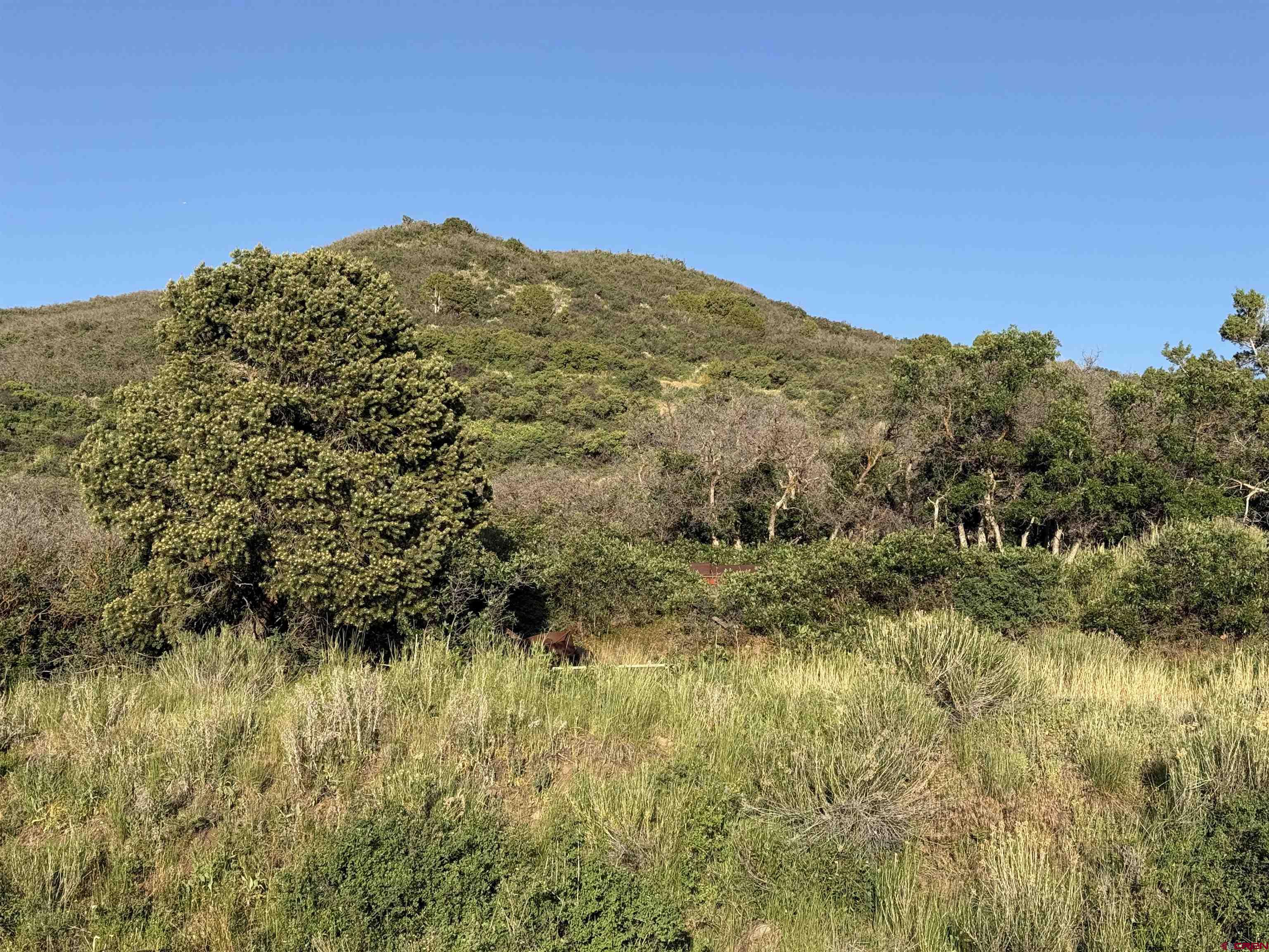 43867 Long Gulch Road Crawford, CO 81415 - Photo 27 of 45 a view of a large body of water surrounded by mountain