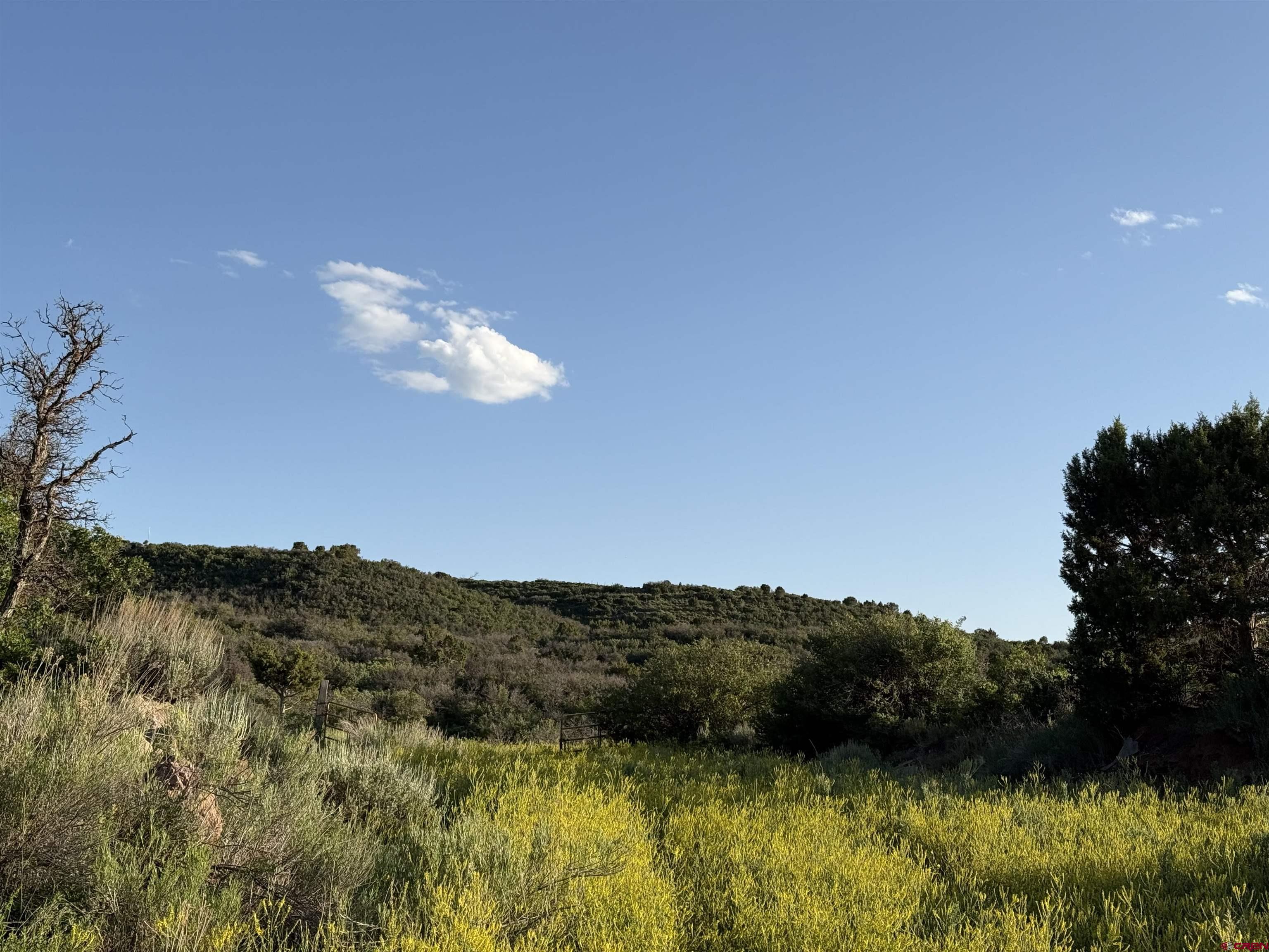 43867 Long Gulch Road Crawford, CO 81415 - Photo 34 of 45 a view of a lake in middle of the forest