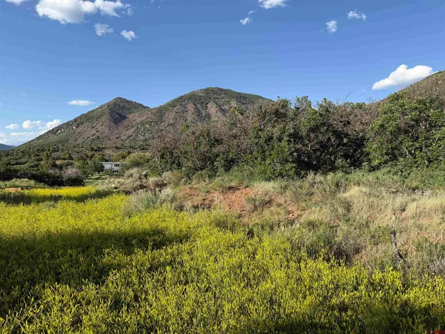 a view of house with green field