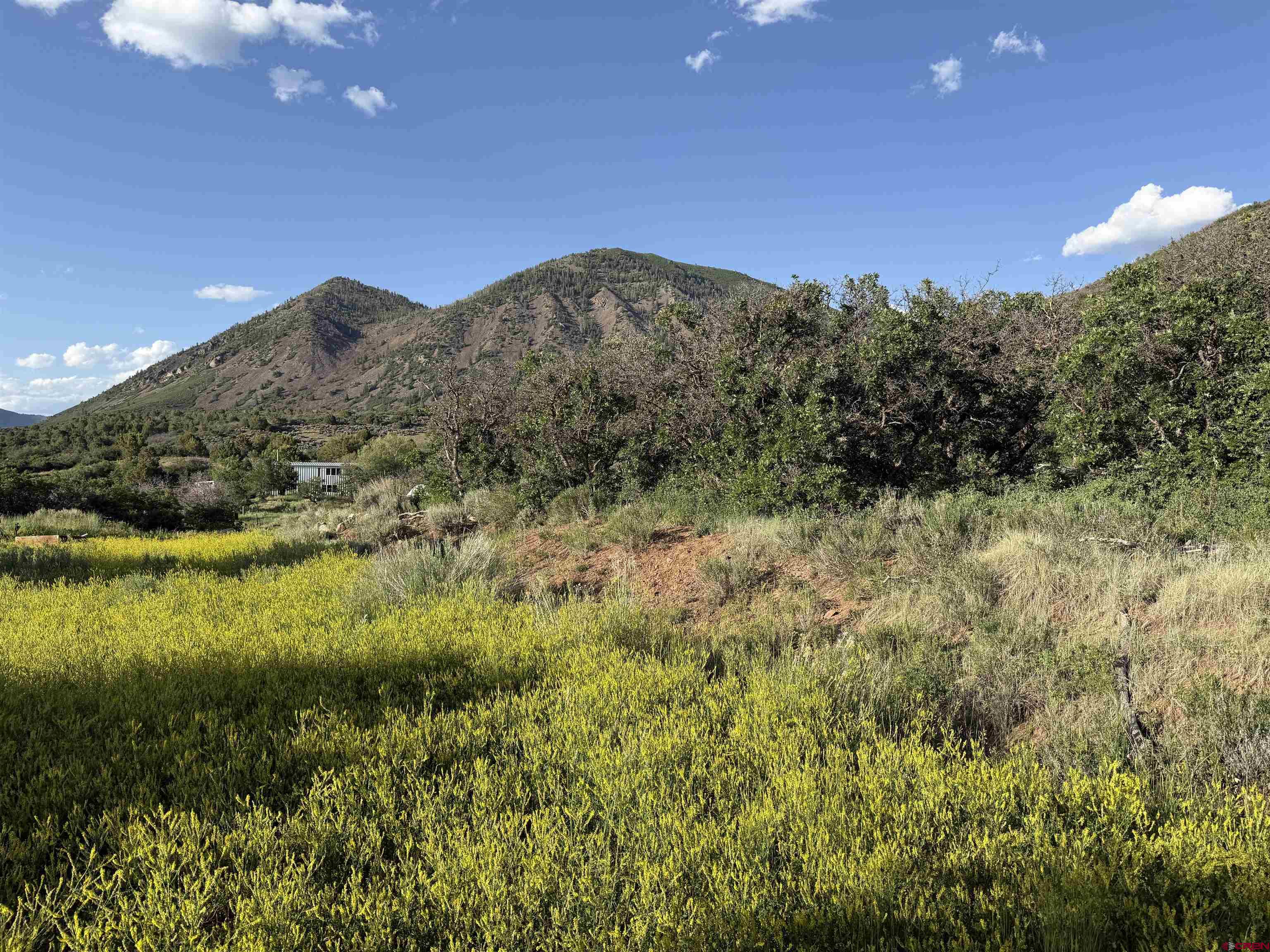 43867 Long Gulch Road Crawford, CO 81415 - Photo 35 of 45 a view of a field