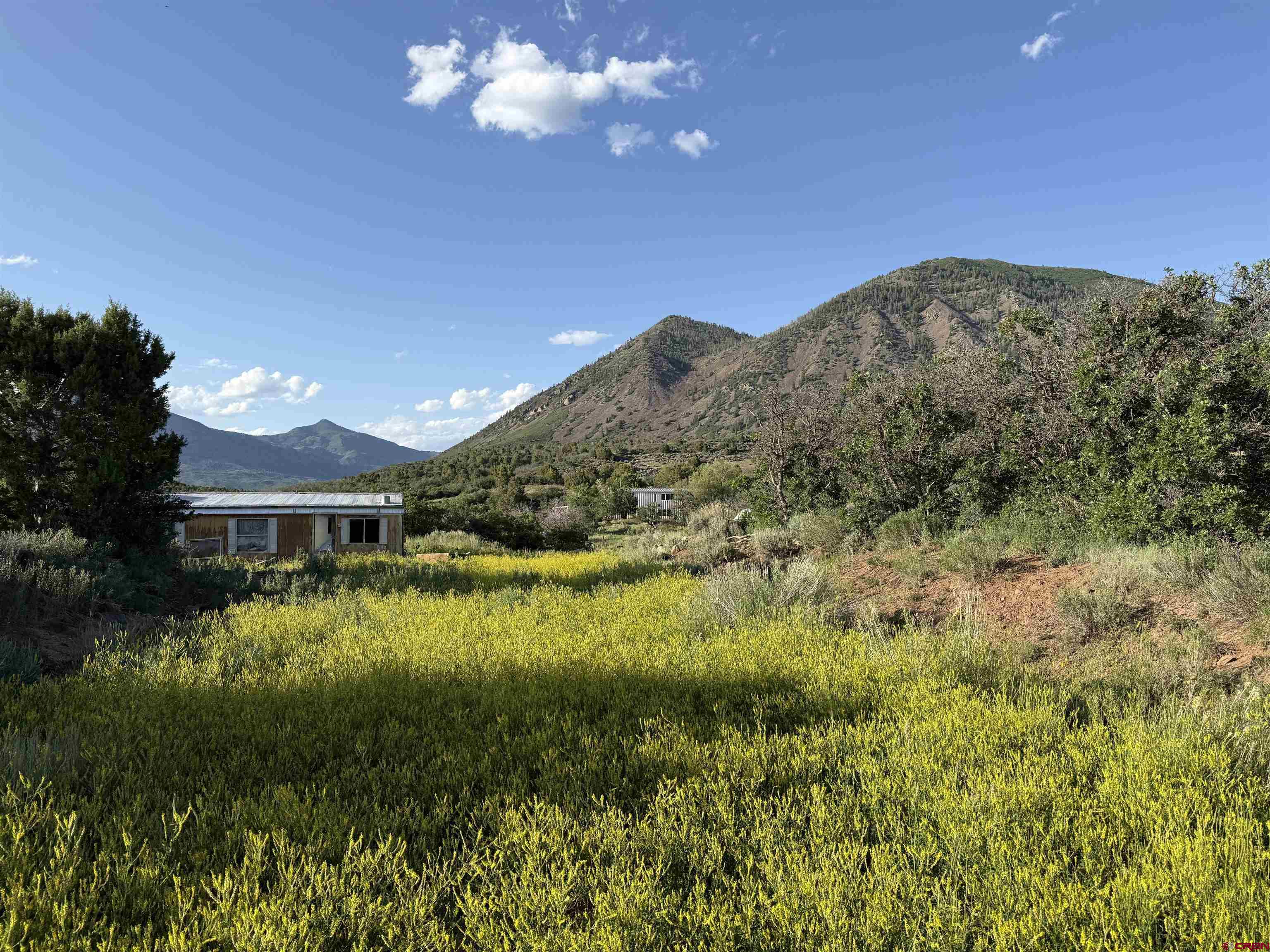 43867 Long Gulch Road Crawford, CO 81415 - Photo 36 of 45 a view of house with green field