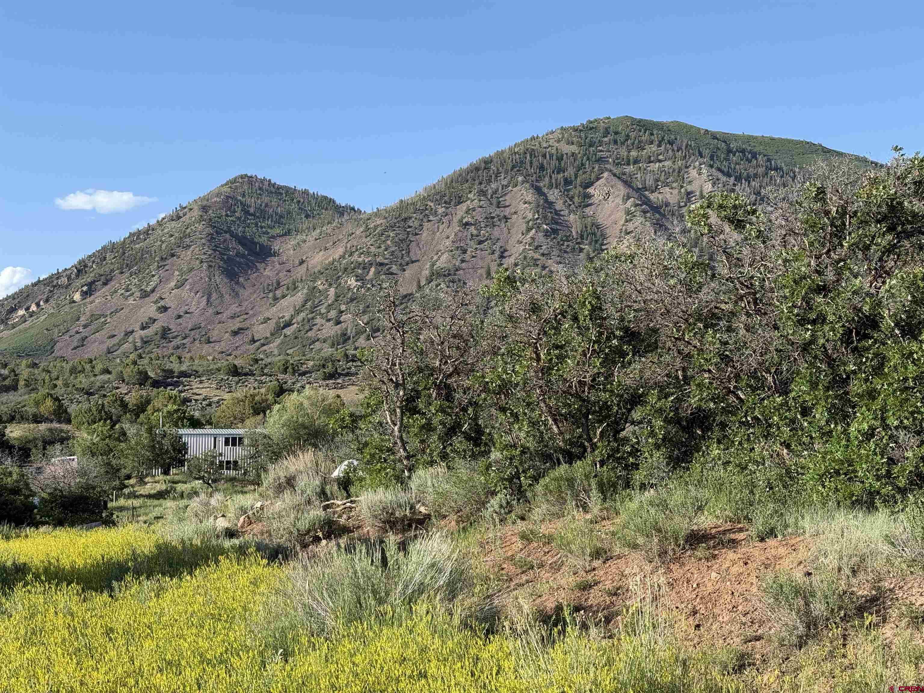 43867 Long Gulch Road Crawford, CO 81415 - Photo 37 of 45 a view of a large building with mountains in the background