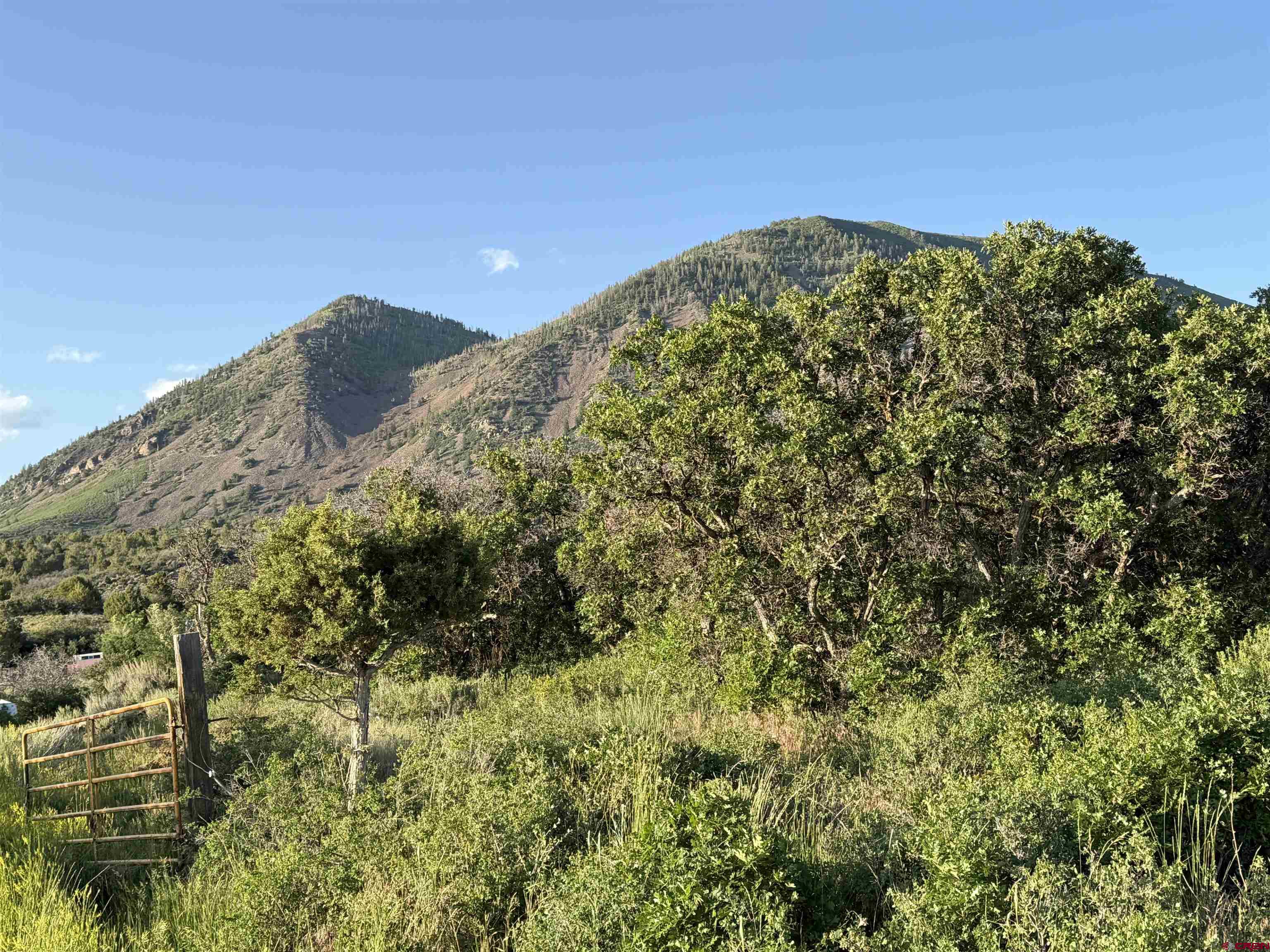 43867 Long Gulch Road Crawford, CO 81415 - Photo 4 of 45 a view of a field