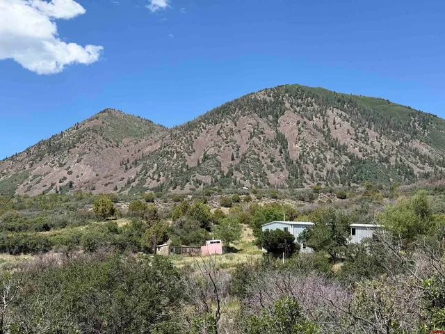 a view of a lush green space