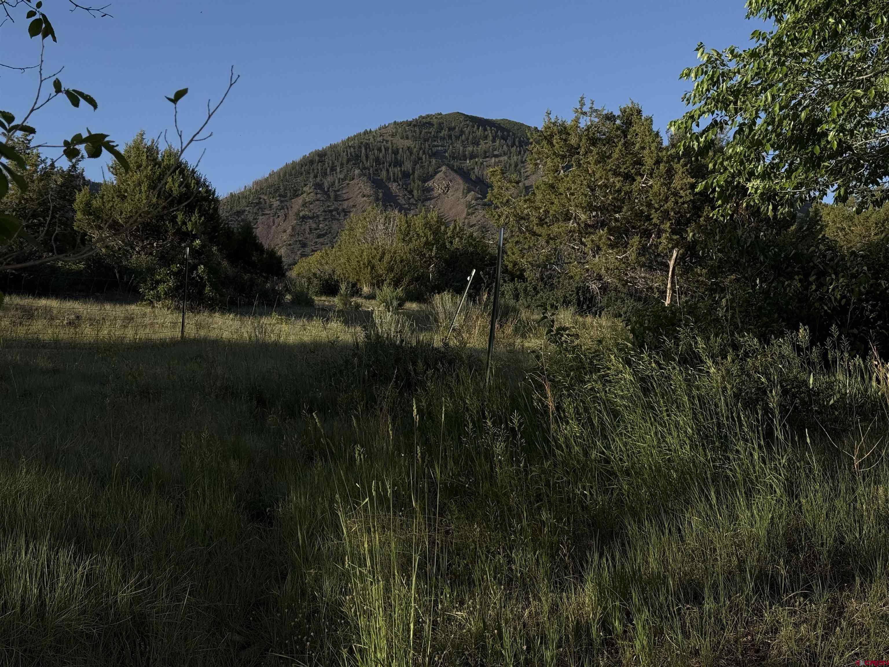 43867 Long Gulch Road Crawford, CO 81415 - Photo 43 of 45 a view of a lush green space