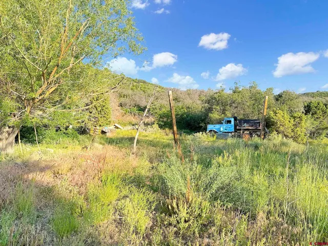 $395,000 | 43867 Long Gulch Road, Crawford, CO 81415