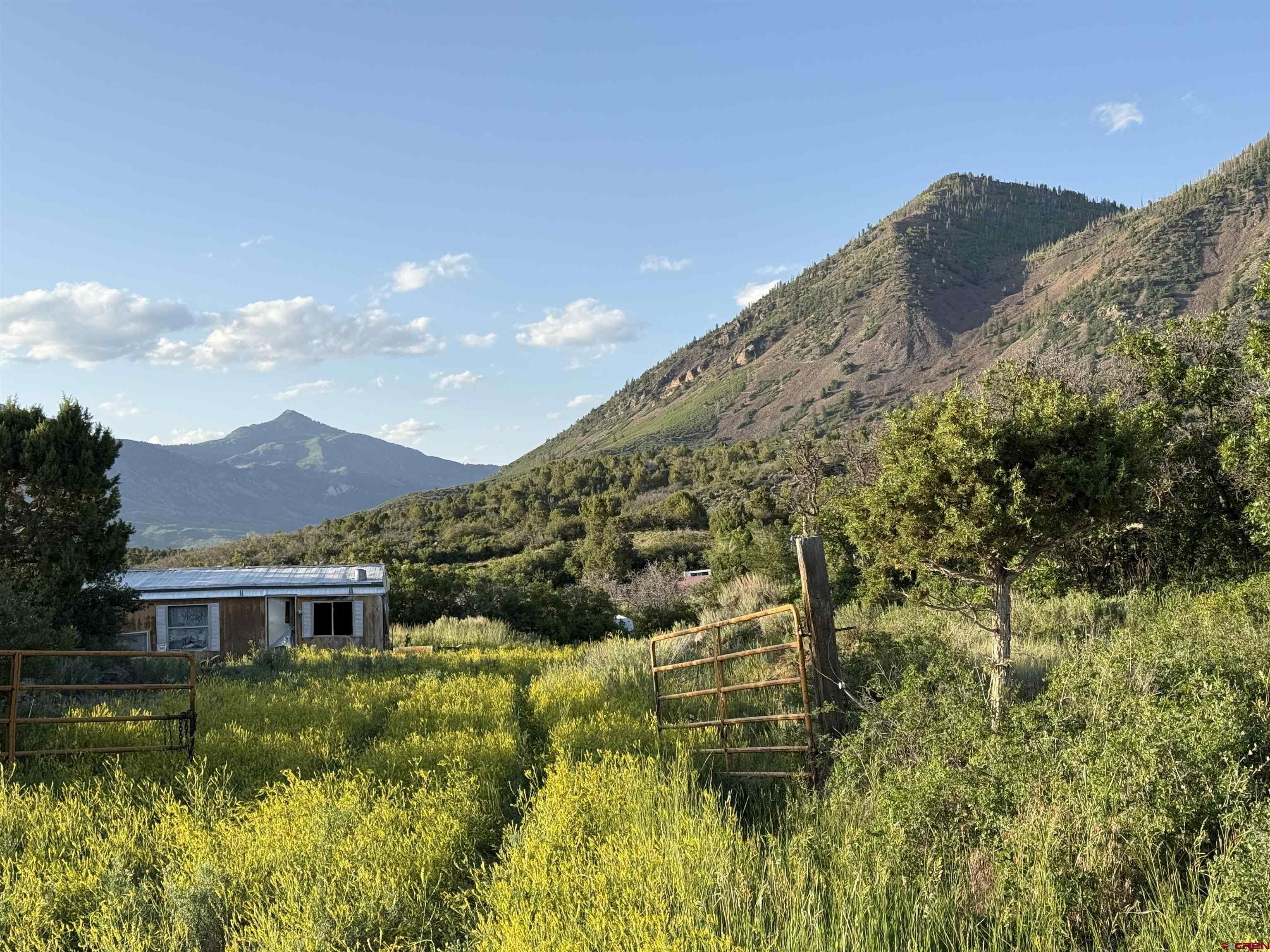 43867 Long Gulch Road Crawford, CO 81415 - Photo 5 of 45 a view of a big house with a big yard plants and large trees