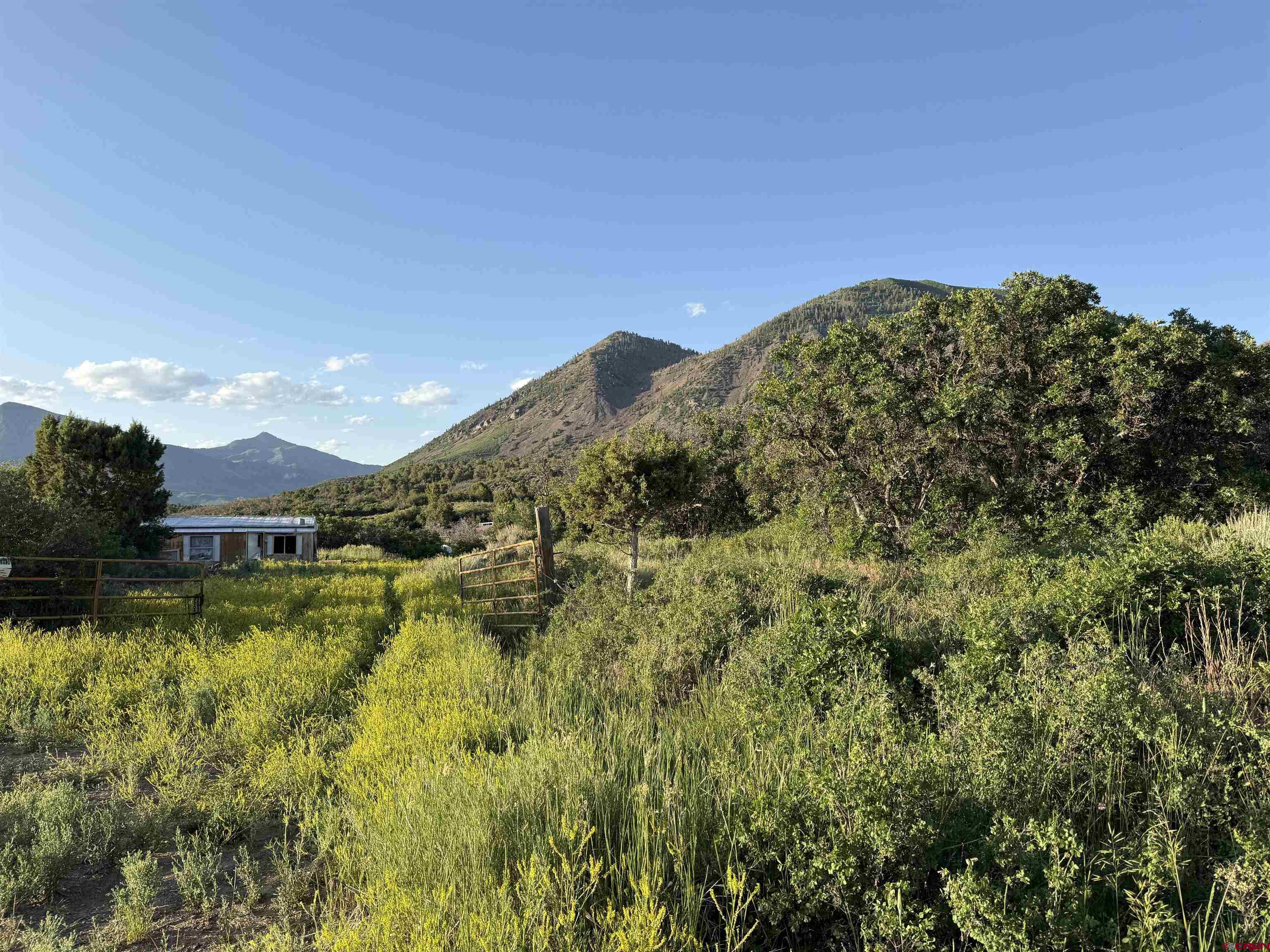 43867 Long Gulch Road Crawford, CO 81415 - Photo 8 of 45 a view of a houses with a yard