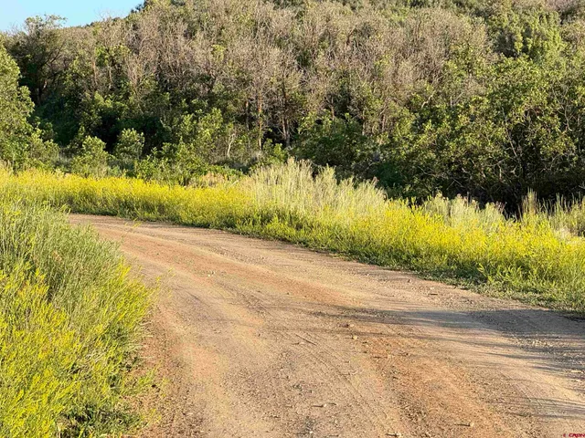 a view of a lake in middle of the town