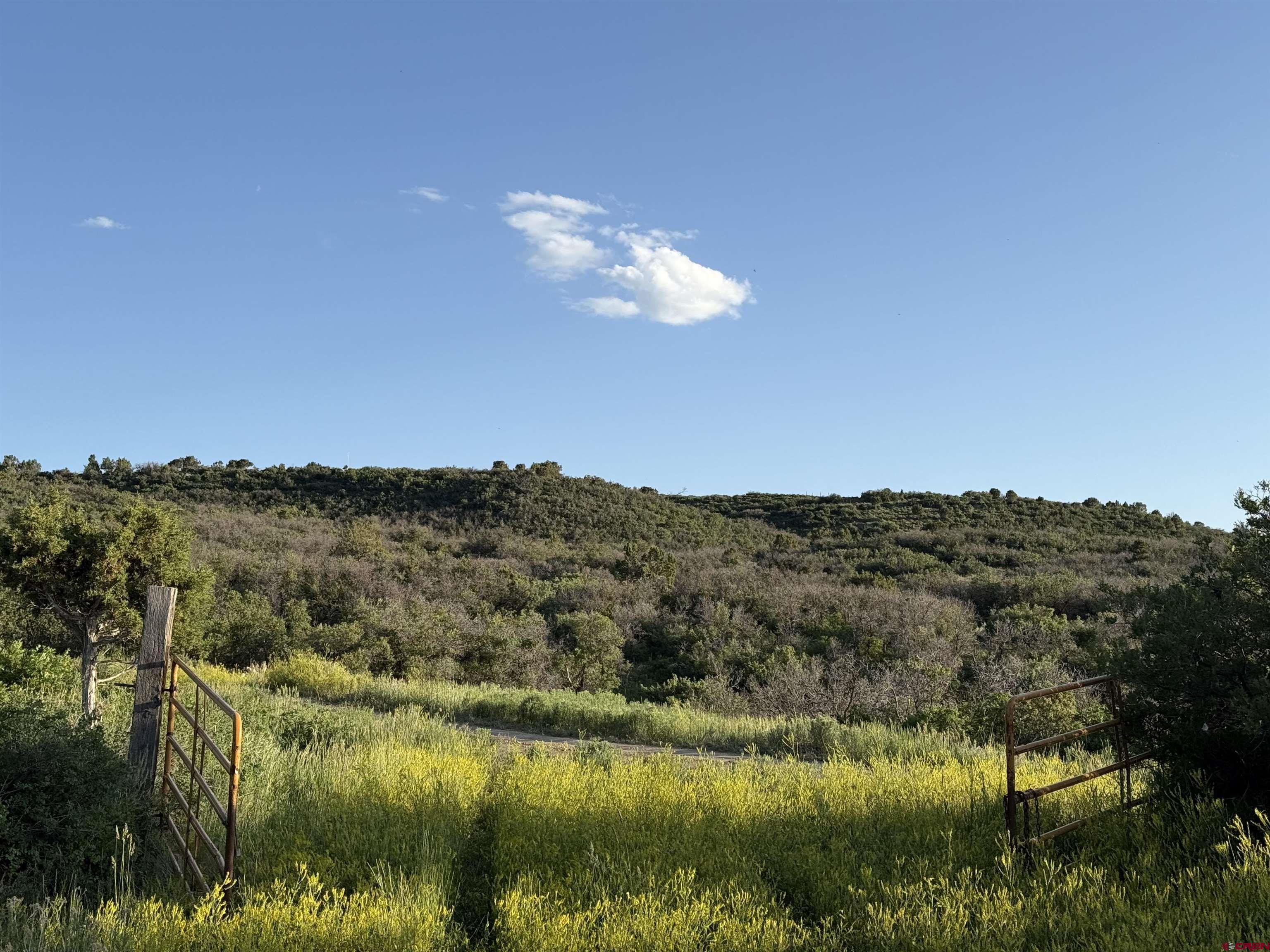 43867 Long Gulch Road Crawford, CO 81415 - Photo 10 of 45 a view of a lake in middle of the town