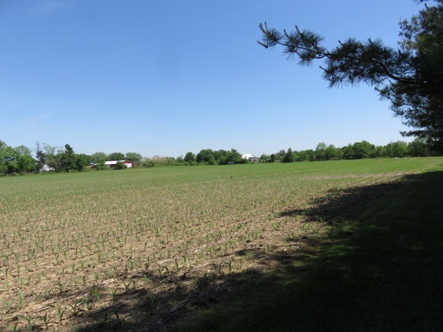 0 East County Road Selma, IN 47383 - Photo 14 of 26