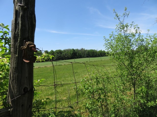0 East County Road Selma, IN 47383 - Photo 22 of 26