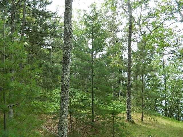 0 West Hahns Road Hayward, WI 54843 - Photo 1 of 1 Gallery Image 1