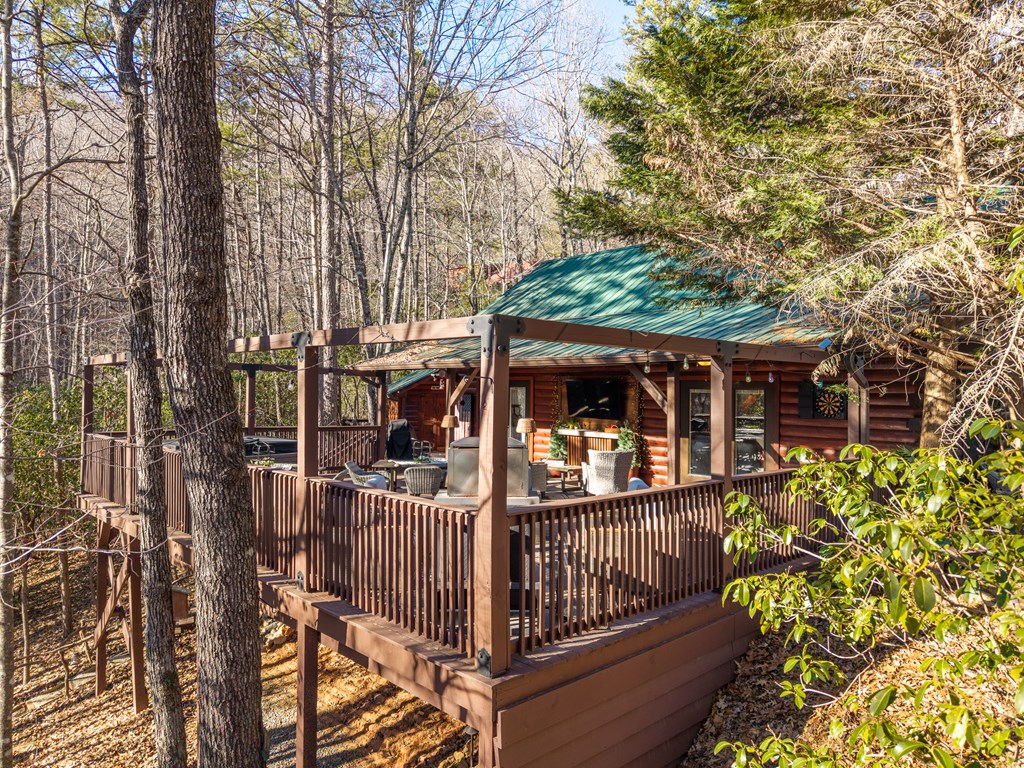 229 Ringtail Run Murphy, NC 28906 - Photo 5 of 68 front view of a house with a tree