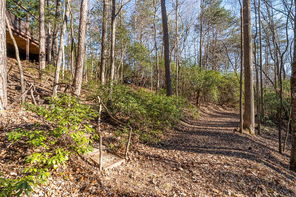 229 Ringtail Run Murphy, NC 28906 - Photo 59 of 68 a view of a yard with plants and large trees