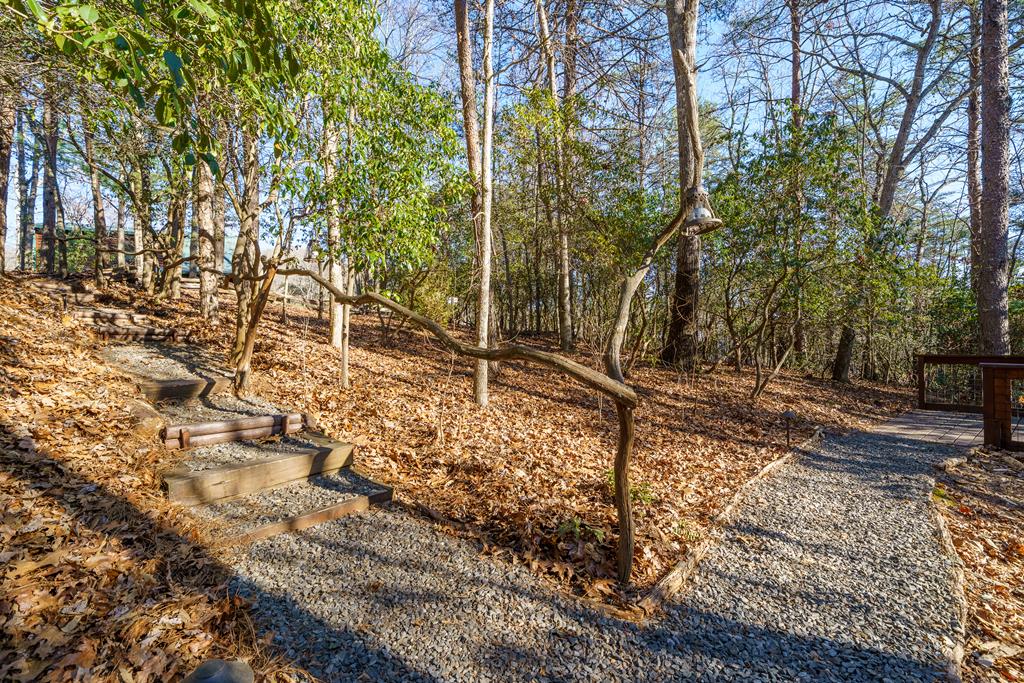 229 Ringtail Run Murphy, NC 28906 - Photo 67 of 68 a backyard of a house with lots of green space