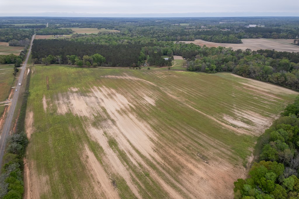 3-acres Singletary Road Slocomb, AL 36375 - Photo 4 of 15