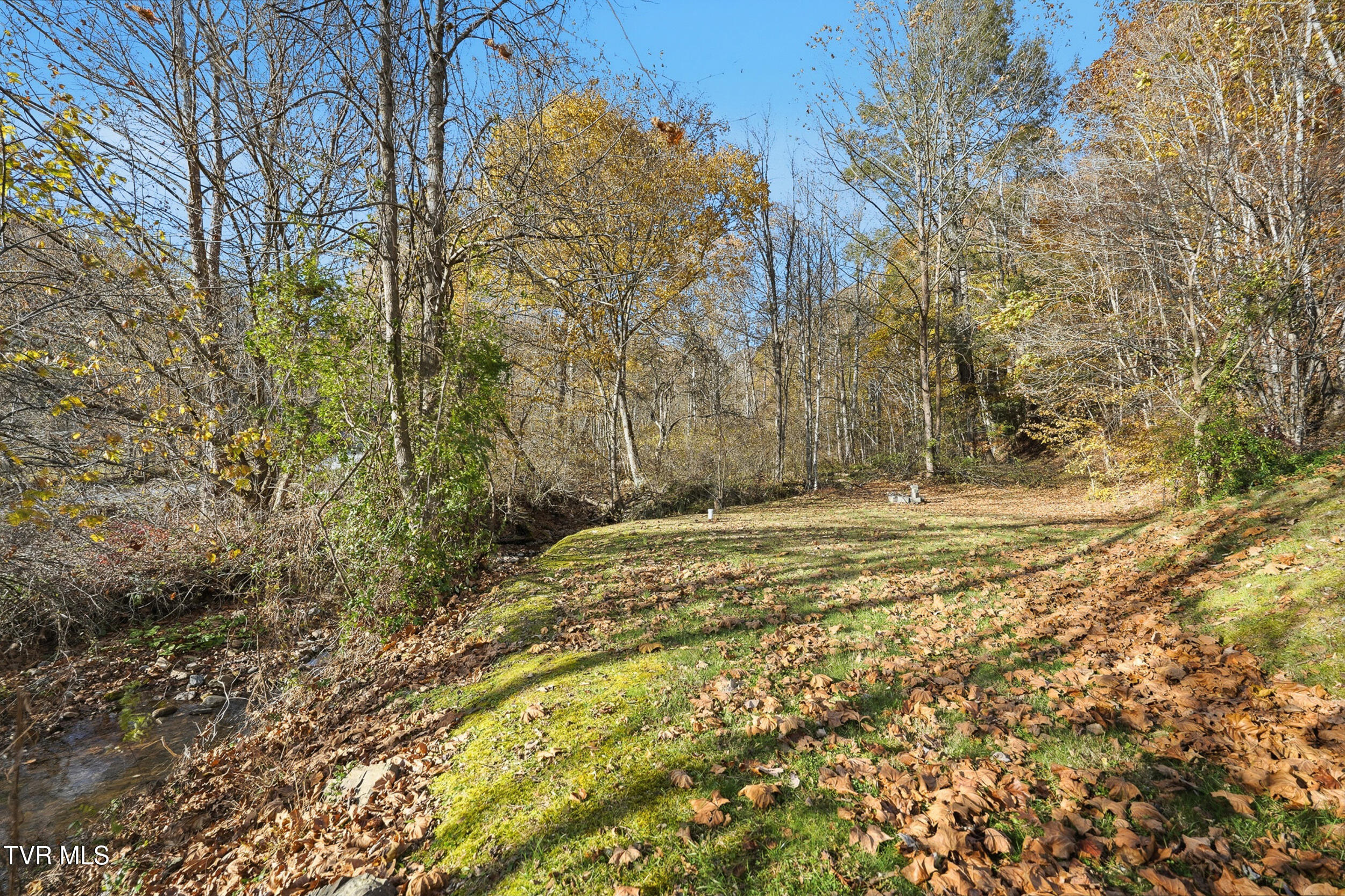 28375 Poor Valley Road Saltville, VA 24370 - Photo 4 of 49 *