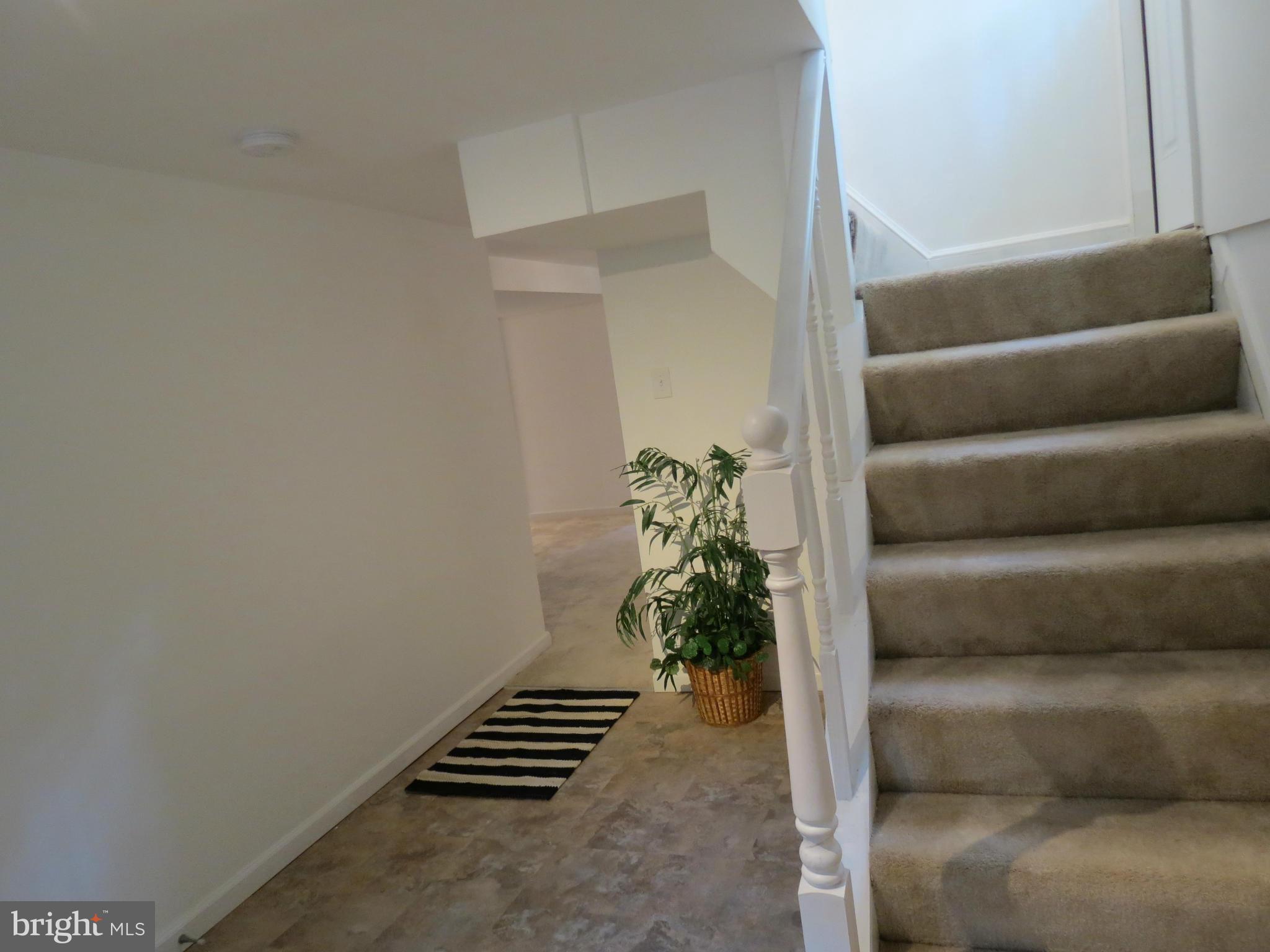 1304 Dilston Road Silver Spring, MD 20903 - Photo 15 of 22 Basement