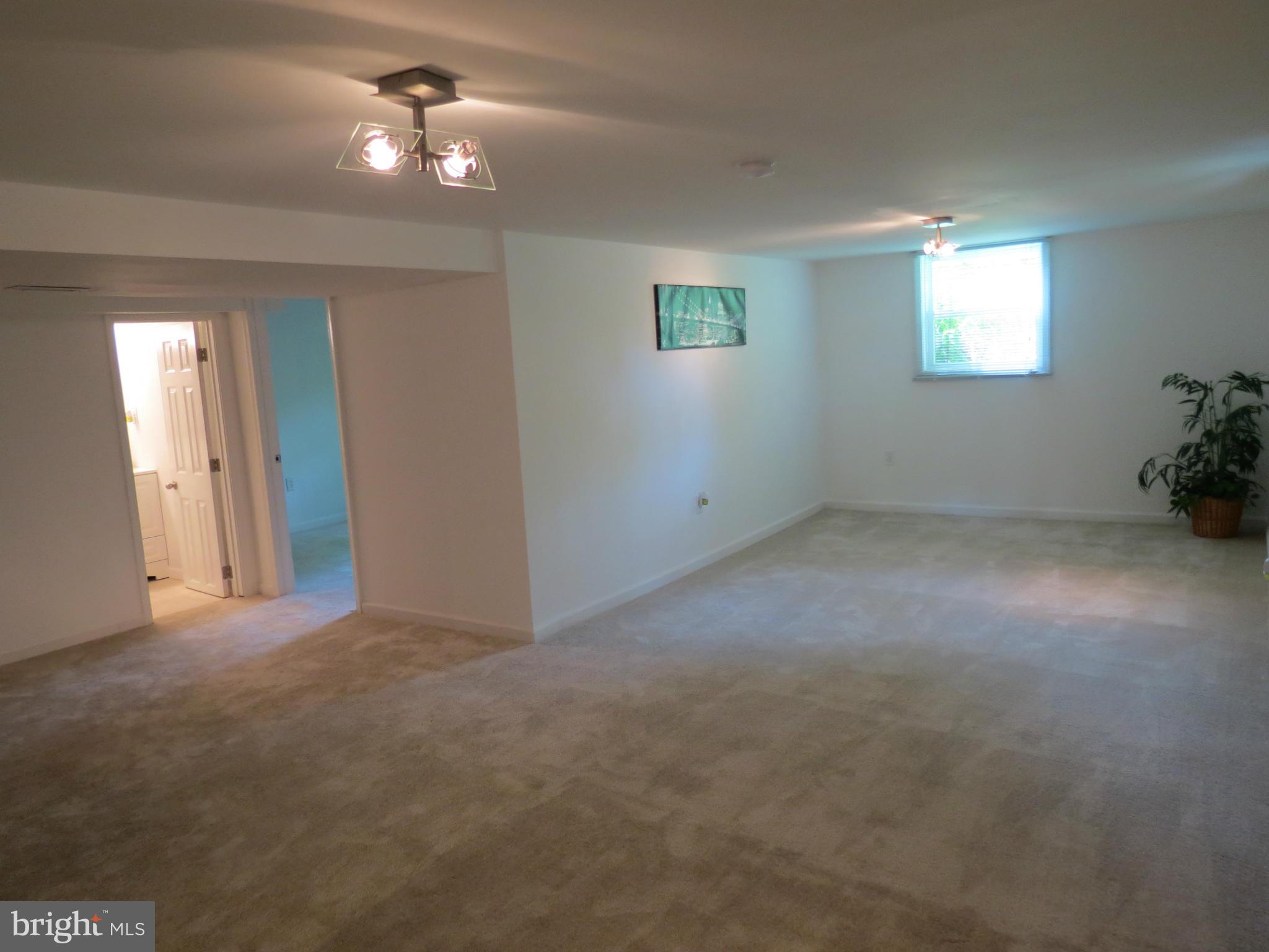 1304 Dilston Road Silver Spring, MD 20903 - Photo 17 of 22 Basement