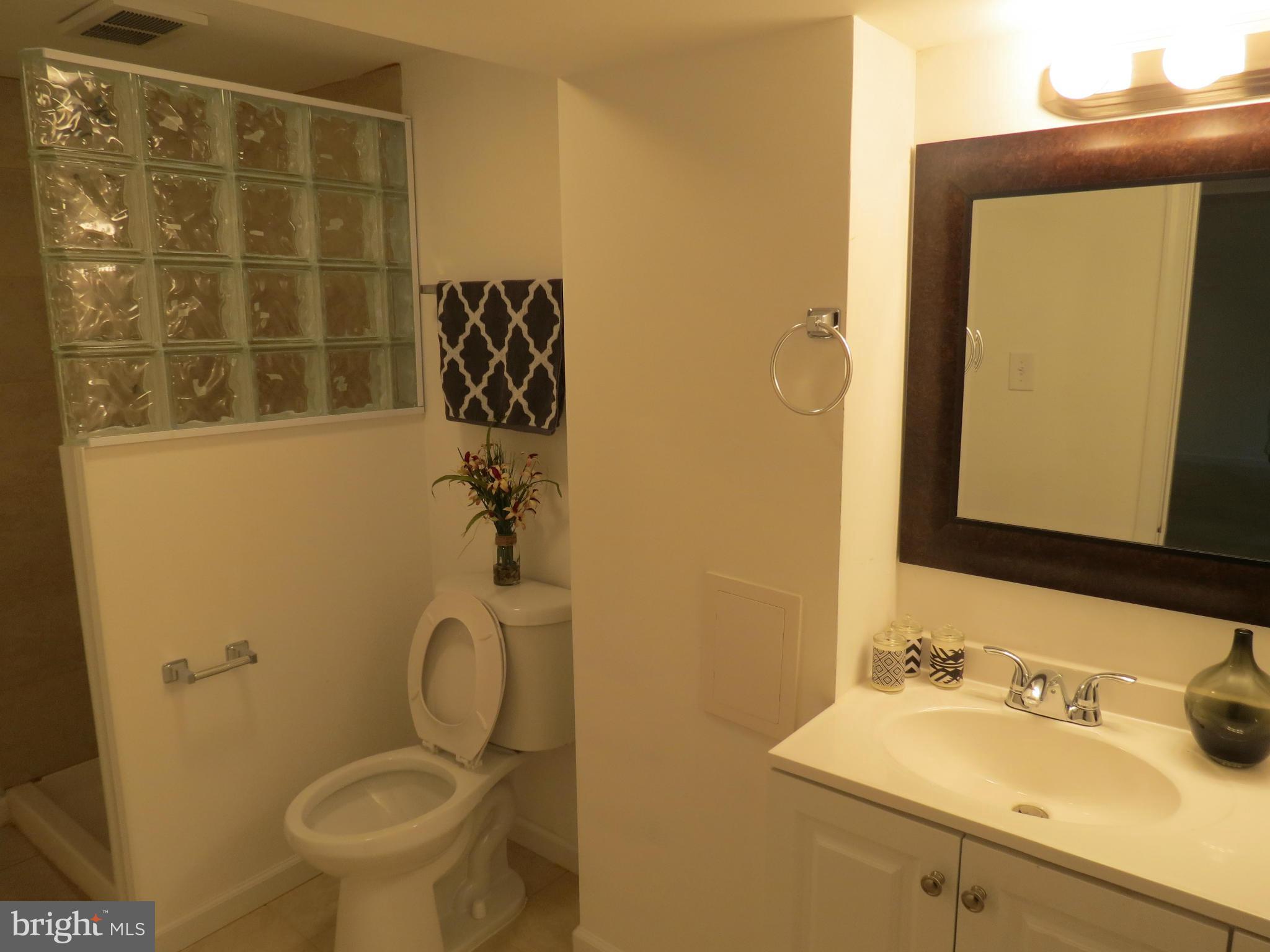 1304 Dilston Road Silver Spring, MD 20903 - Photo 21 of 22 Bath (Master)