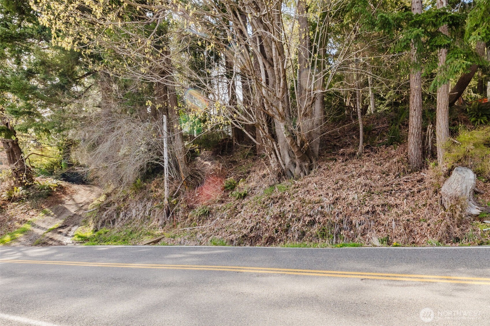 10212 Northeast North Shore Road Belfair, WA 98528 - Photo 15 of 30