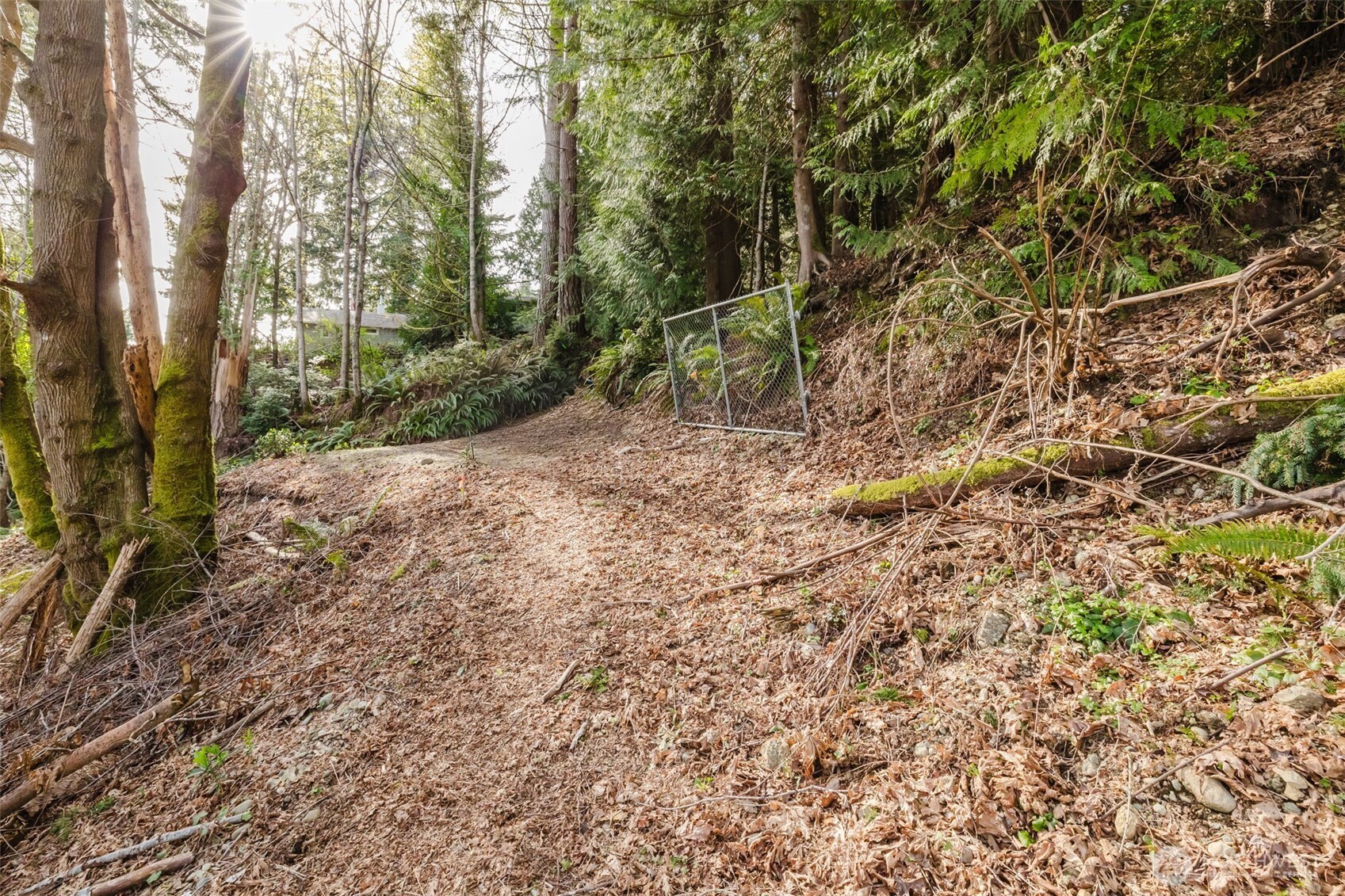 10212 Northeast North Shore Road Belfair, WA 98528 - Photo 18 of 30