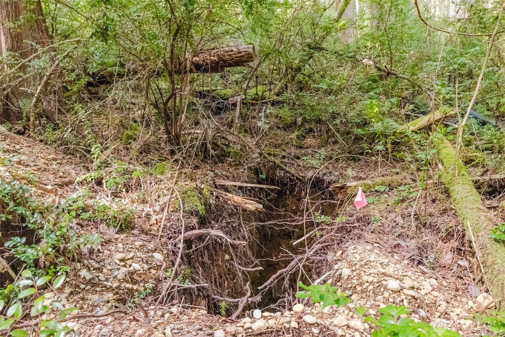 10212 Northeast North Shore Road Belfair, WA 98528 - Photo 22 of 30