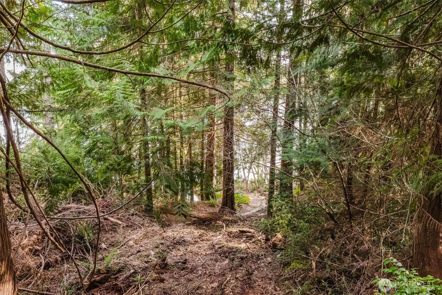 10212 Northeast North Shore Road Belfair, WA 98528 - Photo 23 of 30