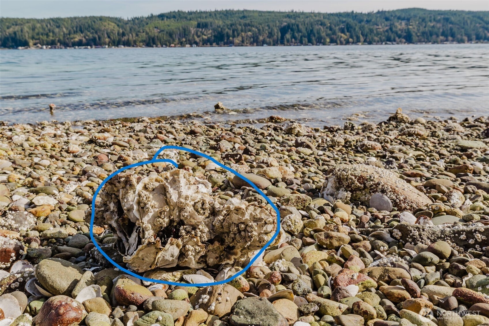 10212 Northeast North Shore Road Belfair, WA 98528 - Photo 8 of 30