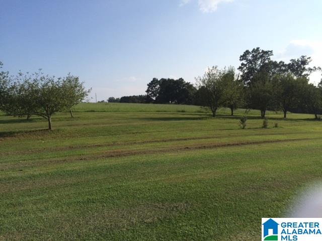 460 Moore Road Altoona, AL 35952 - Photo 23 of 29