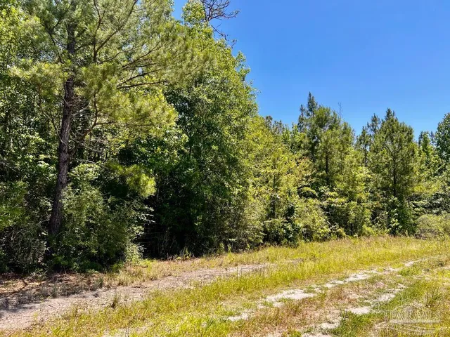 $79,000 | Lot 49 Mineral Springs Road, Jay, FL 32565