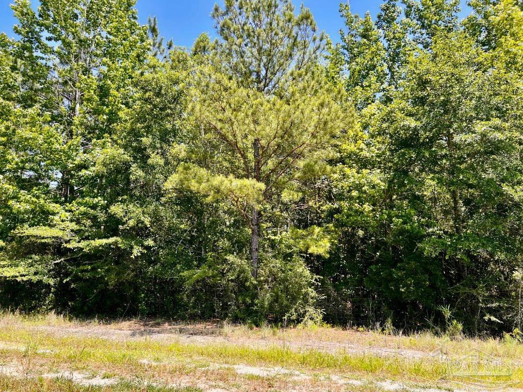 Lot 49 Mineral Springs Road Jay, FL 32565 - Photo 13 of 22