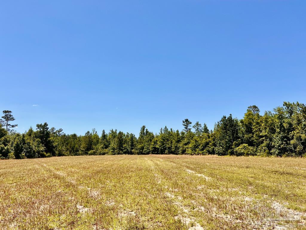 Lot 49 Mineral Springs Road Jay, FL 32565 - Photo 15 of 22