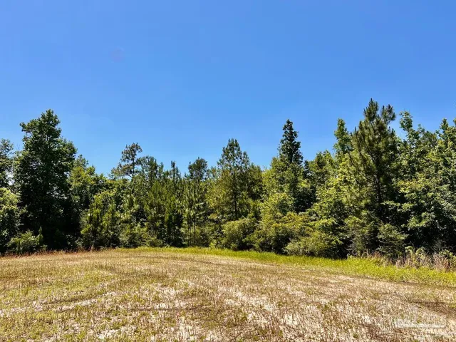 $79,000 | Lot 49 Mineral Springs Road, Jay, FL 32565
