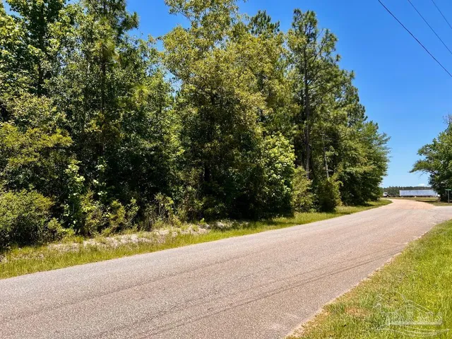 $79,000 | Lot 49 Mineral Springs Road, Jay, FL 32565