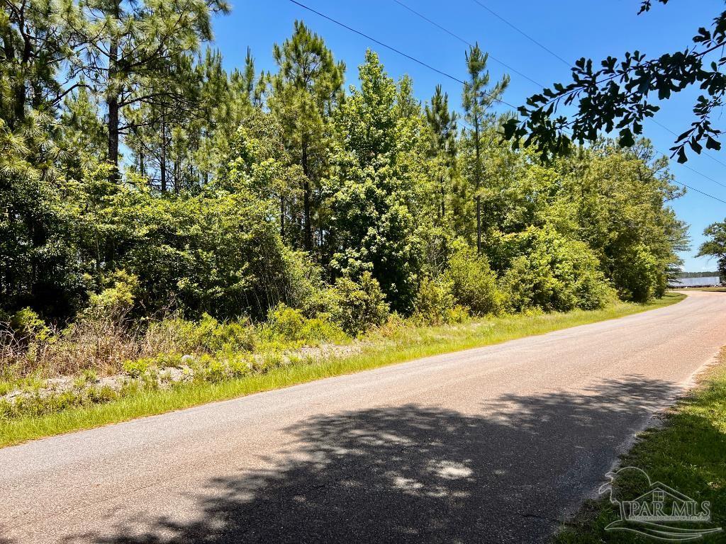 Lot 49 Mineral Springs Road Jay, FL 32565 - Photo 9 of 22