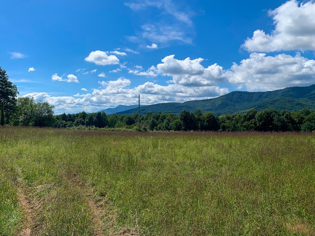 Tbd Apple Ridge Road, Unit 7 Cana, VA 24317 - Photo 8 of 27 Gallery Image 8