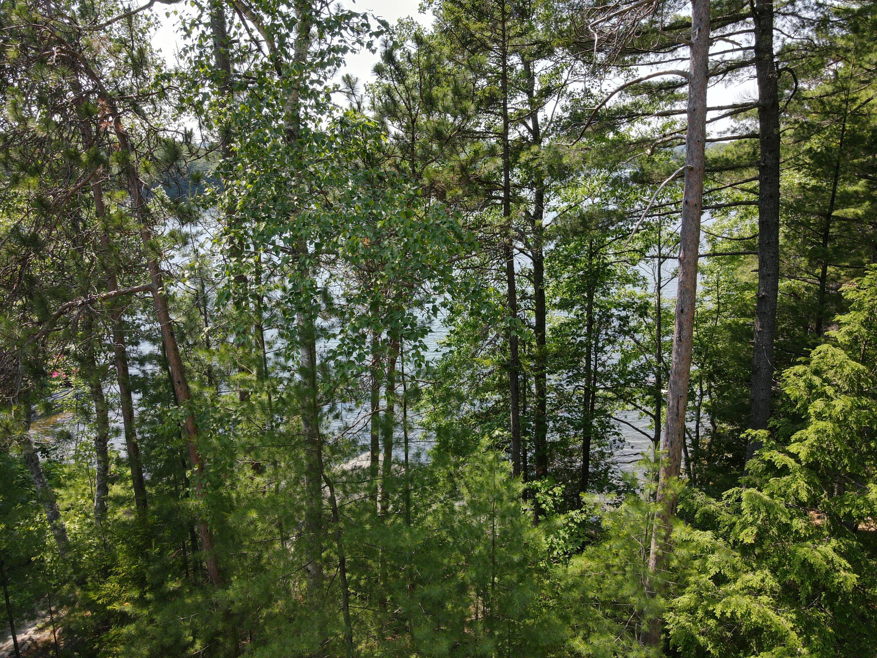 39 Lakeview Avenue Dedham, ME 04429 - Photo 66 of 73 dji_fly_20260629_140622_895_178275951276
