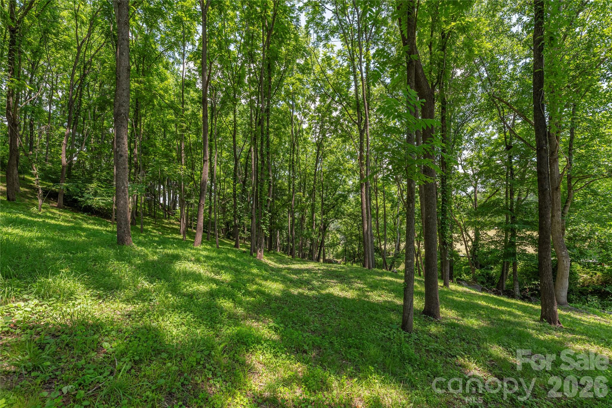 702 Love Joy Road Canton, NC 28716 - Photo 28 of 40