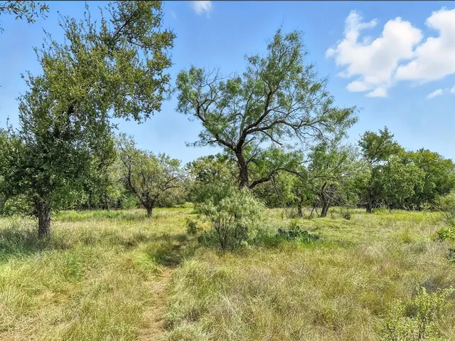 a view of a lush green space